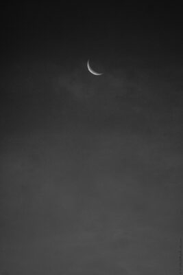 2022 06 15(88)