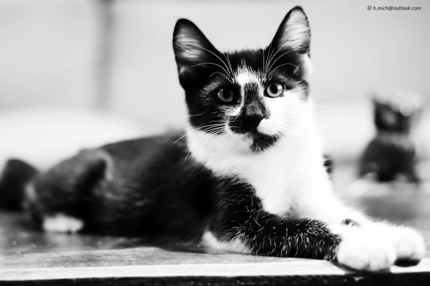 Studio-One.Art.br Repo Fotografia em Rio Preto SP/Brasil