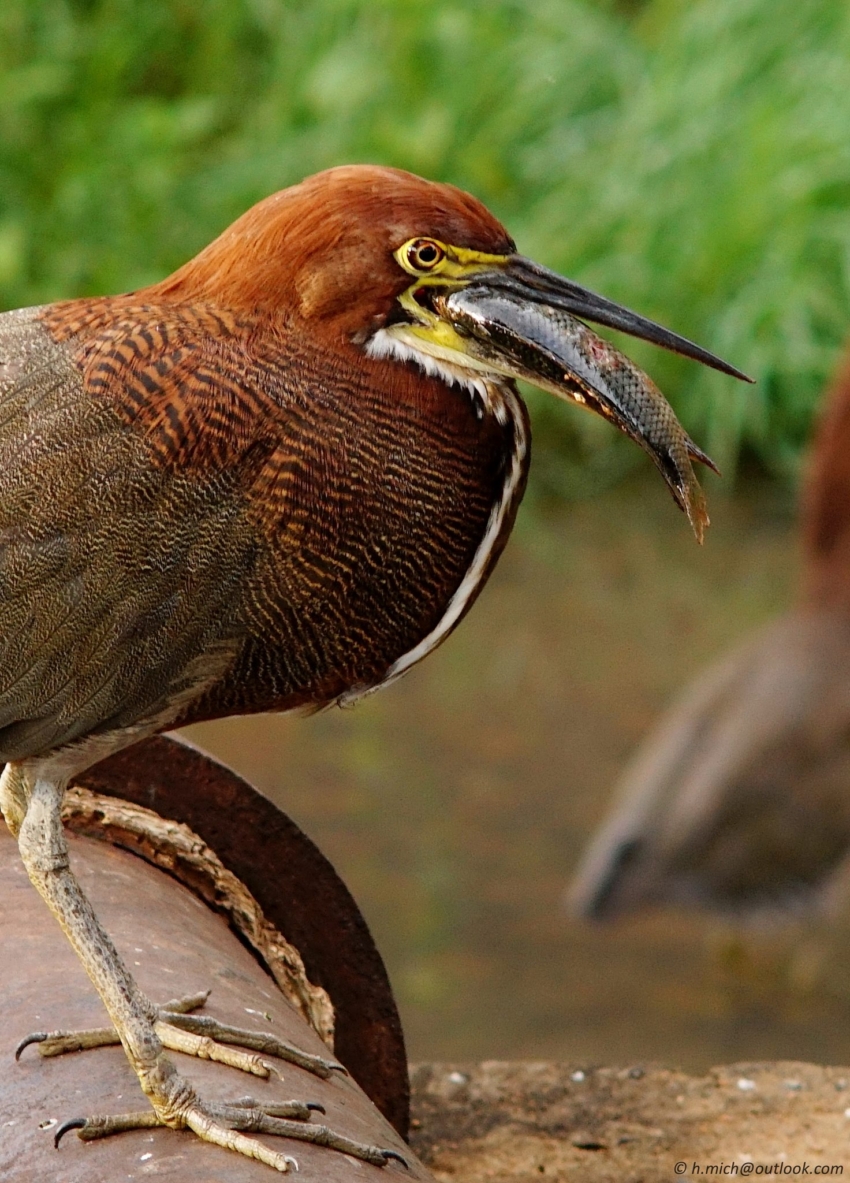 Studio-One.Art.br Repo Fotografia em Rio Preto SP/Brasil