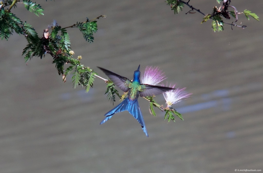 Studio-One.Art.br Repo Fotografia em Rio Preto SP/Brasil