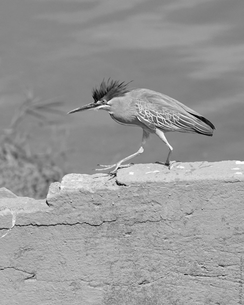 Studio-One.Art.br Repo Fotografia em Rio Preto SP/Brasil