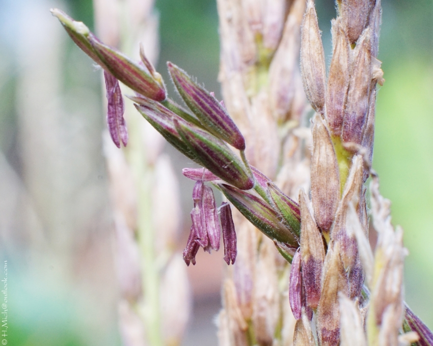 Studio-One.Art.br Repo Fotografia em Rio Preto SP/Brasil
