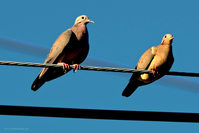 Studio-One.Art.br Repo Fotografia em Rio Preto SP/Brasil