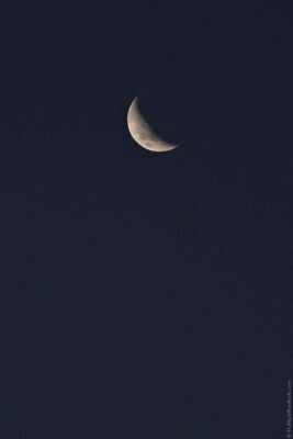 2022 06 15(9)