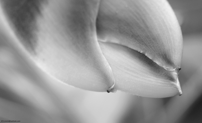 Studio-One.Art.br Repo Fotografia em Rio Preto SP/Brasil