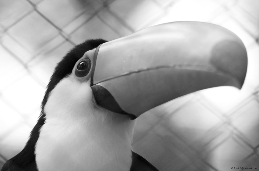 Studio-One.Art.br Repo Fotografia em Rio Preto SP/Brasil