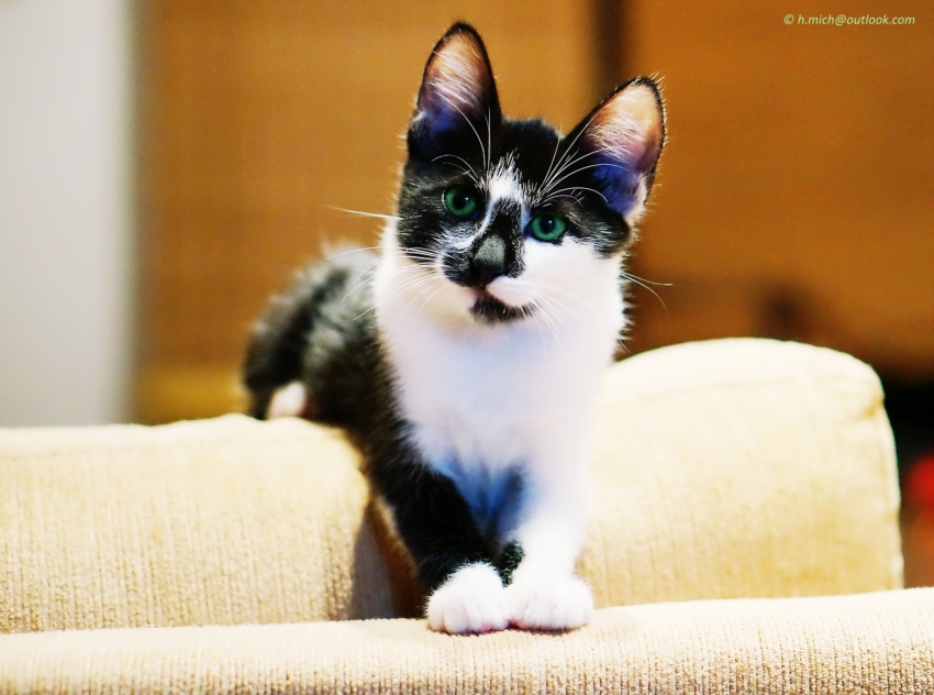 Studio-One.Art.br Repo Fotografia em Rio Preto SP/Brasil