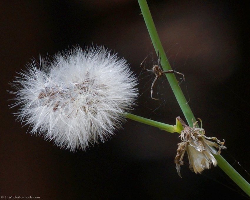Studio-One.Art.br Repo Fotografia em Rio Preto SP/Brasil