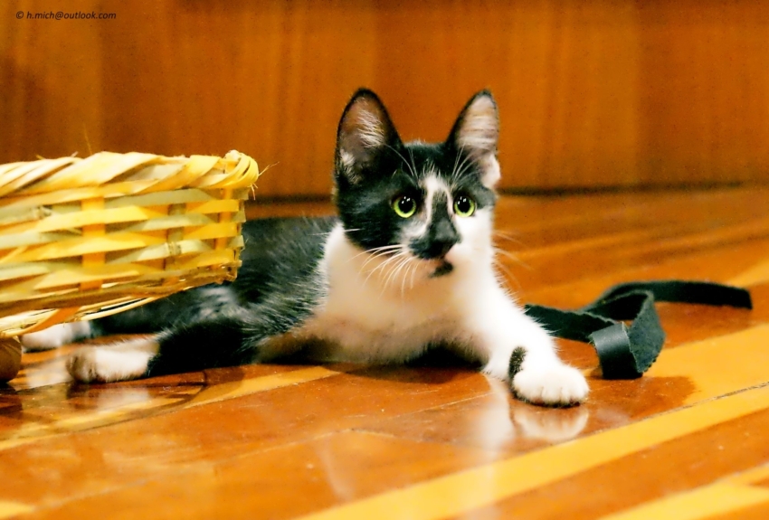 Studio-One.Art.br Repo Fotografia em Rio Preto SP/Brasil