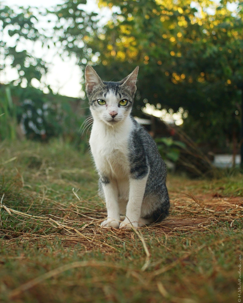 Studio-One.Art.br Repo Fotografia em Rio Preto SP/Brasil