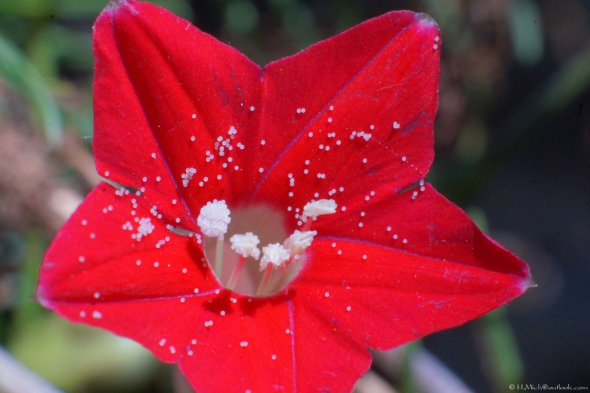 Studio-One.Art.br Repo Fotografia em Rio Preto SP/Brasil