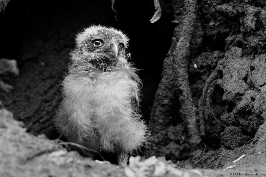 Studio-One.Art.br Repo Fotografia em Rio Preto SP/Brasil