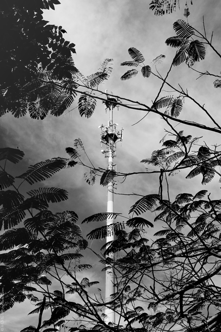 Studio-One.Art.br Repo Fotografia em Rio Preto SP/Brasil