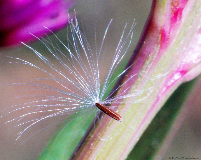 Studio-One.Art.br Repo Fotografia em Rio Preto SP/Brasil