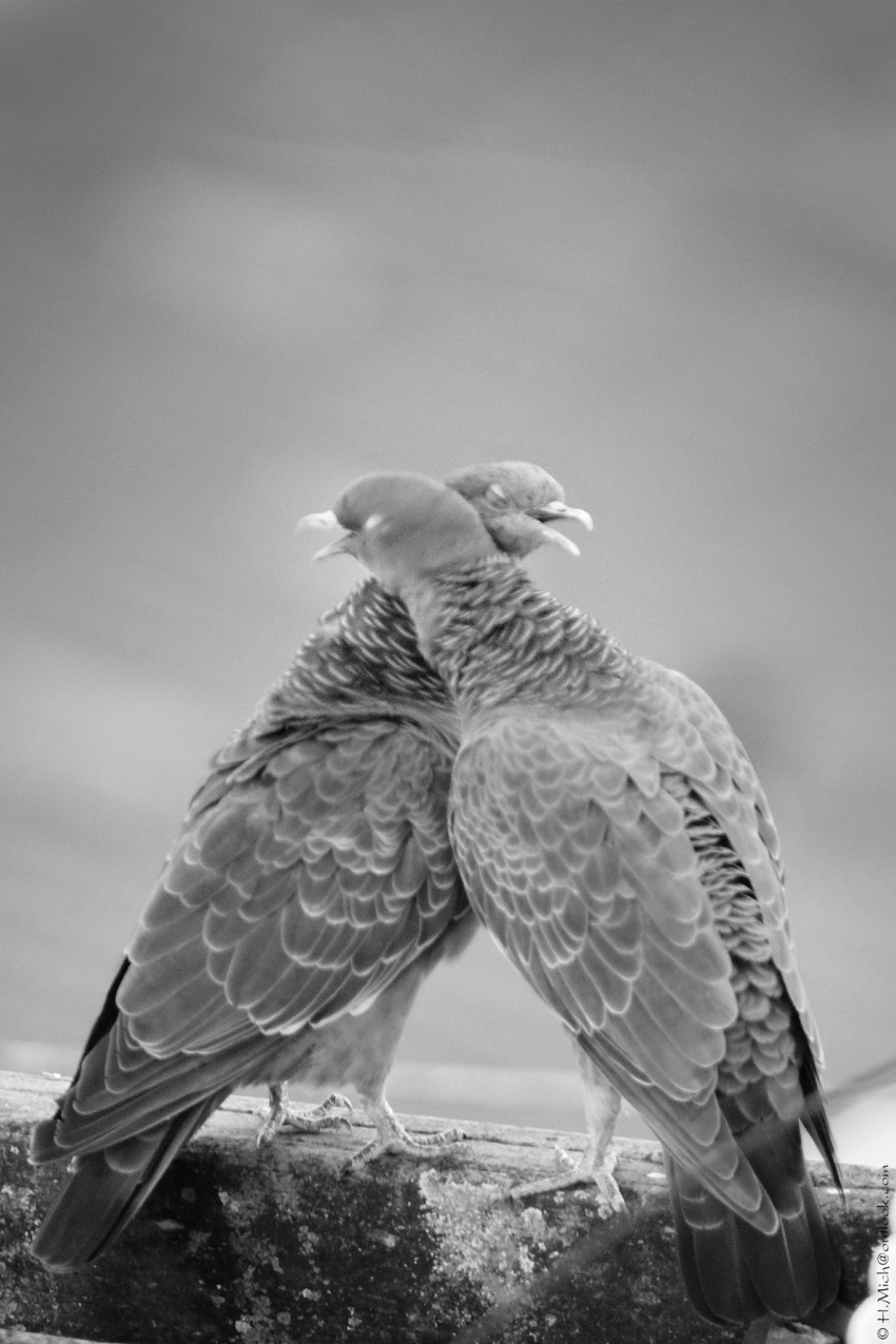 Studio-One.Art.br Repo Fotografia em Rio Preto SP/Brasil