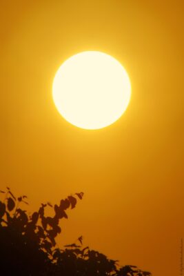 2022 06 15(93)