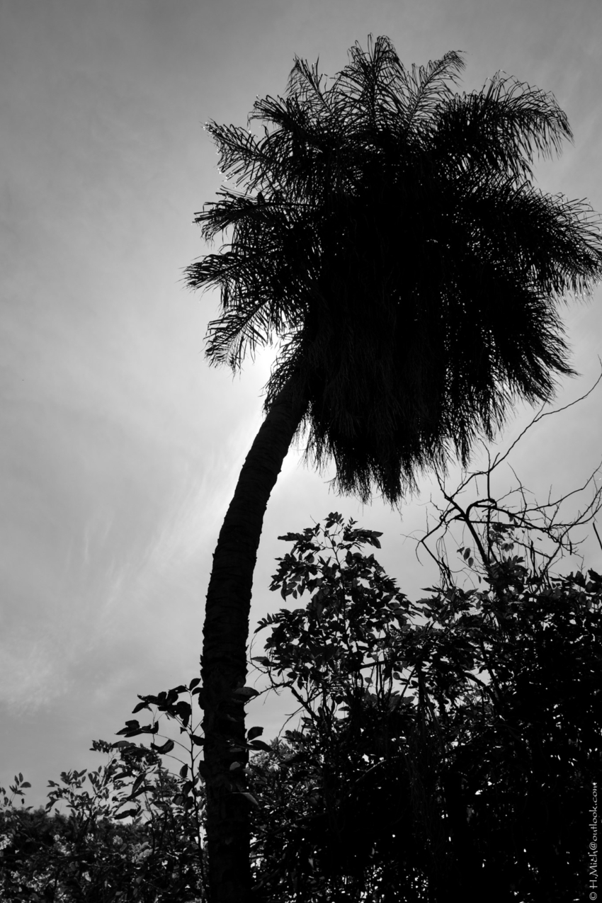 Studio-One.Art.br Repo Fotografia em Rio Preto SP/Brasil