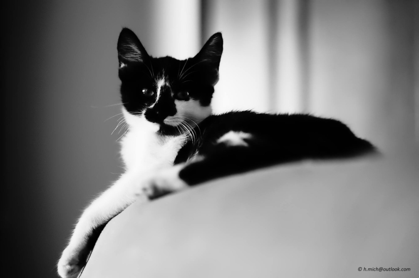 Studio-One.Art.br Repo Fotografia em Rio Preto SP/Brasil