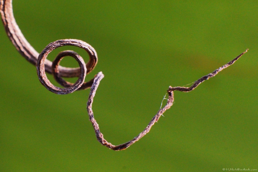 Studio-One.Art.br Repo Fotografia em Rio Preto SP/Brasil