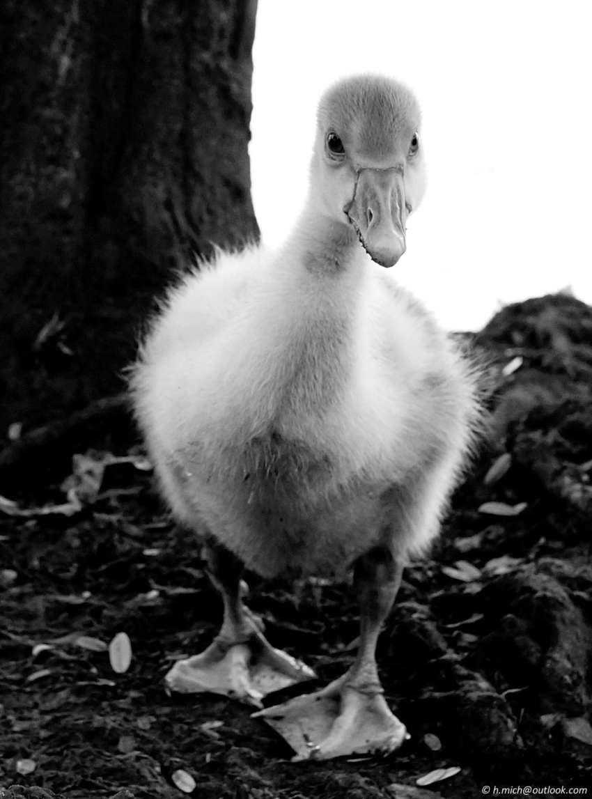 Studio-One.Art.br Repo Fotografia em Rio Preto SP/Brasil