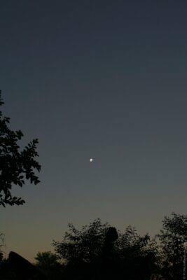 2022 06 15(94)