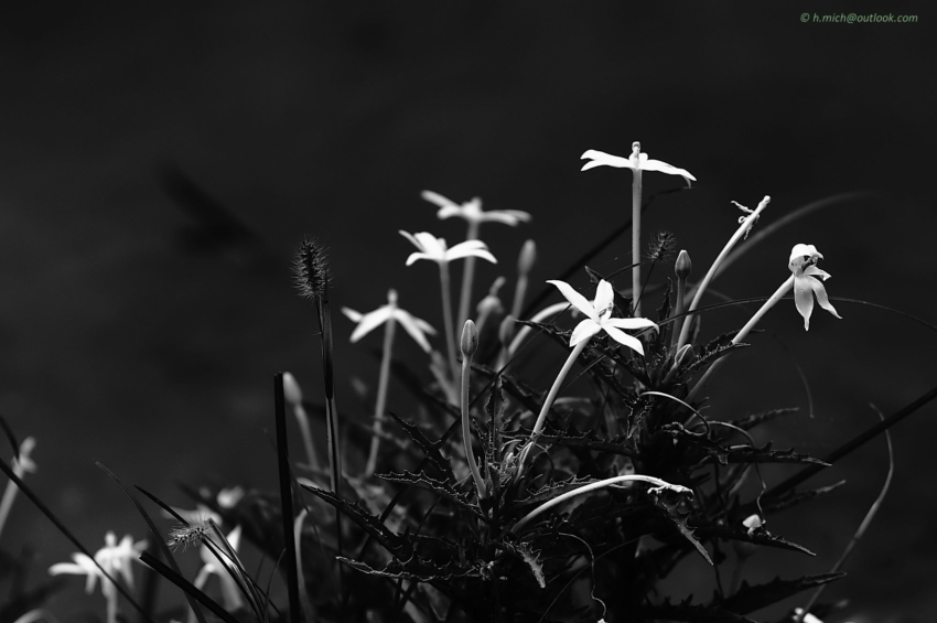 Studio-One.Art.br Repo Fotografia em Rio Preto SP/Brasil