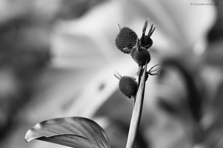 Studio-One.Art.br Repo Fotografia em Rio Preto SP/Brasil