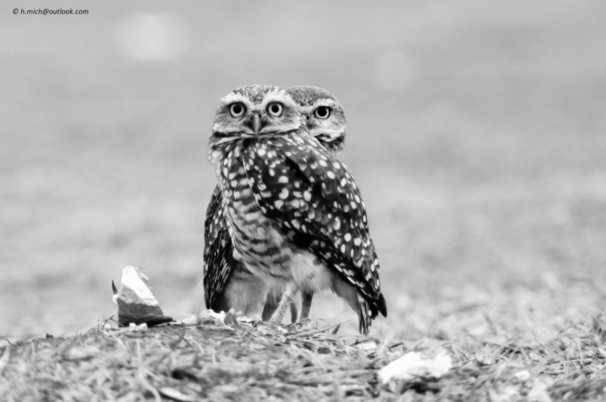 Studio-One.Art.br Repo Fotografia em Rio Preto SP/Brasil