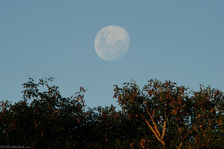 Studio-One.Art.br Repo Fotografia em Rio Preto SP/Brasil