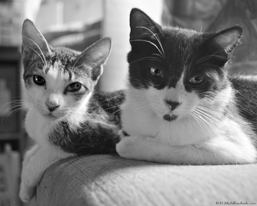 Studio-One.Art.br Repo Fotografia em Rio Preto SP/Brasil