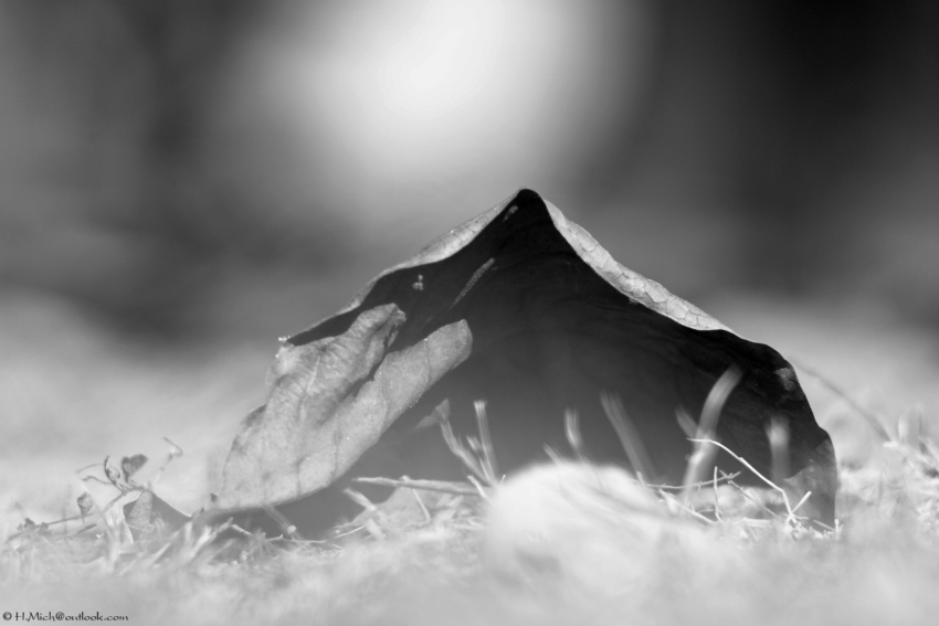 Studio-One.Art.br Repo Fotografia em Rio Preto SP/Brasil