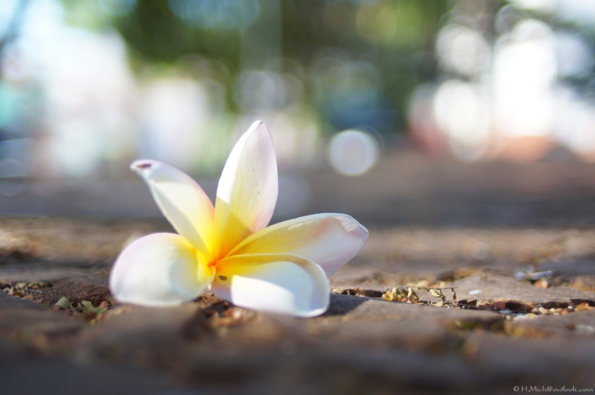 Studio-One.Art.br Repo Fotografia em Rio Preto SP/Brasil