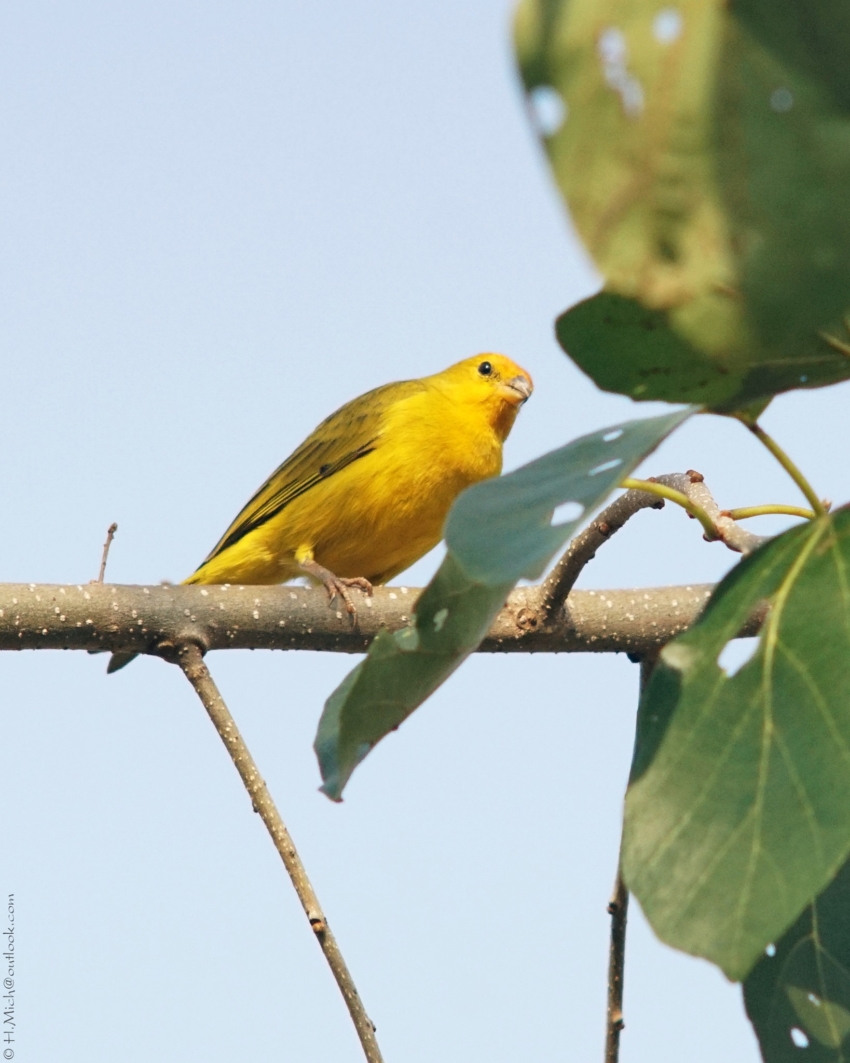 Studio-One.Art.br Repo Fotografia em Rio Preto SP/Brasil