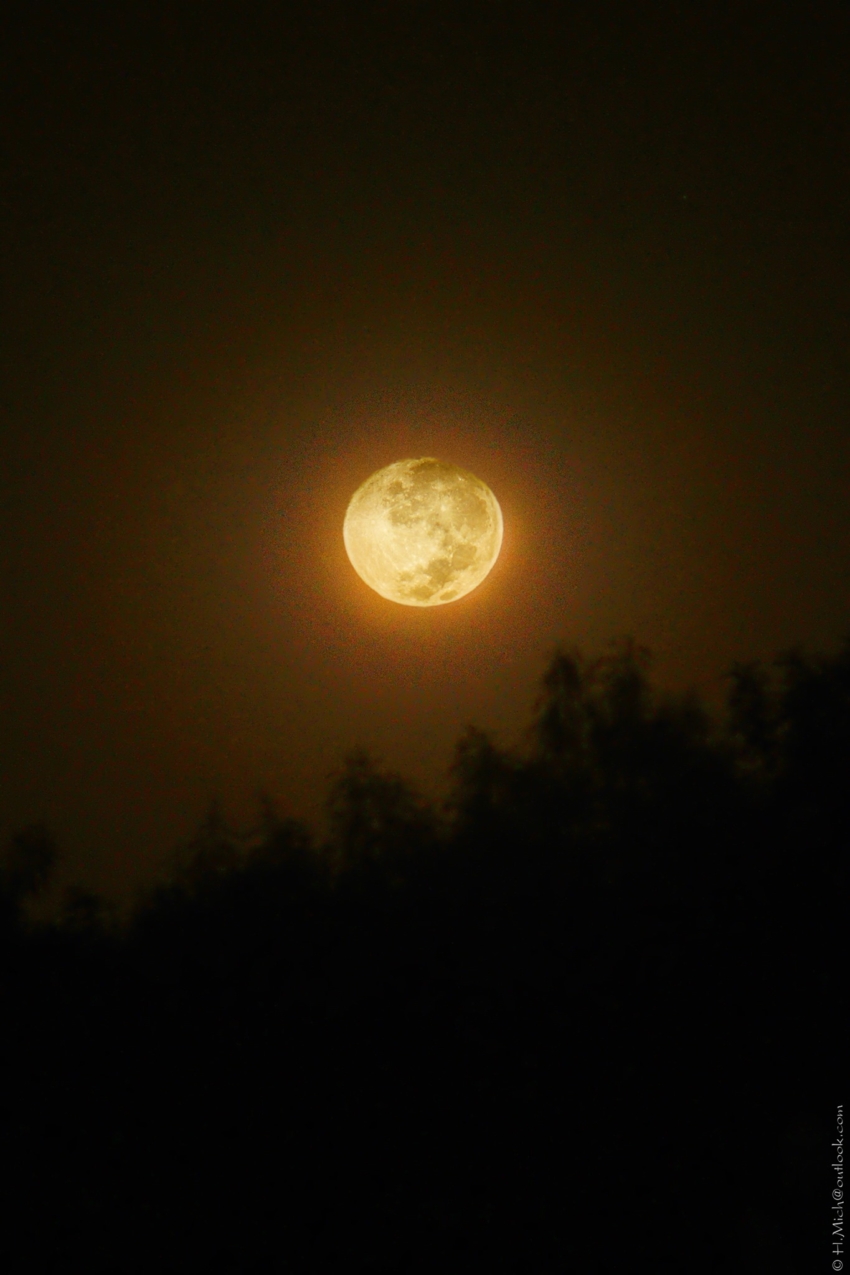 Studio-One.Art.br Repo Fotografia em Rio Preto SP/Brasil