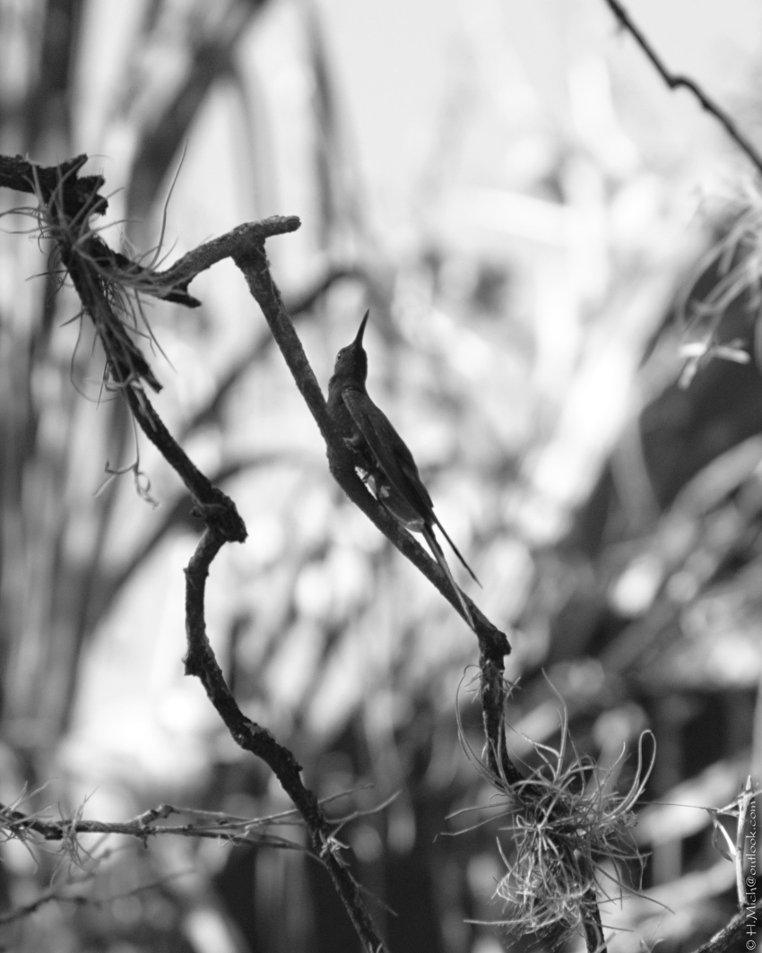 Studio-One.Art.br Repo Fotografia em Rio Preto SP/Brasil