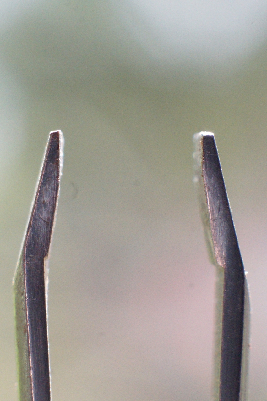 Studio-One.Art.br Repo Fotografia em Rio Preto SP/Brasil