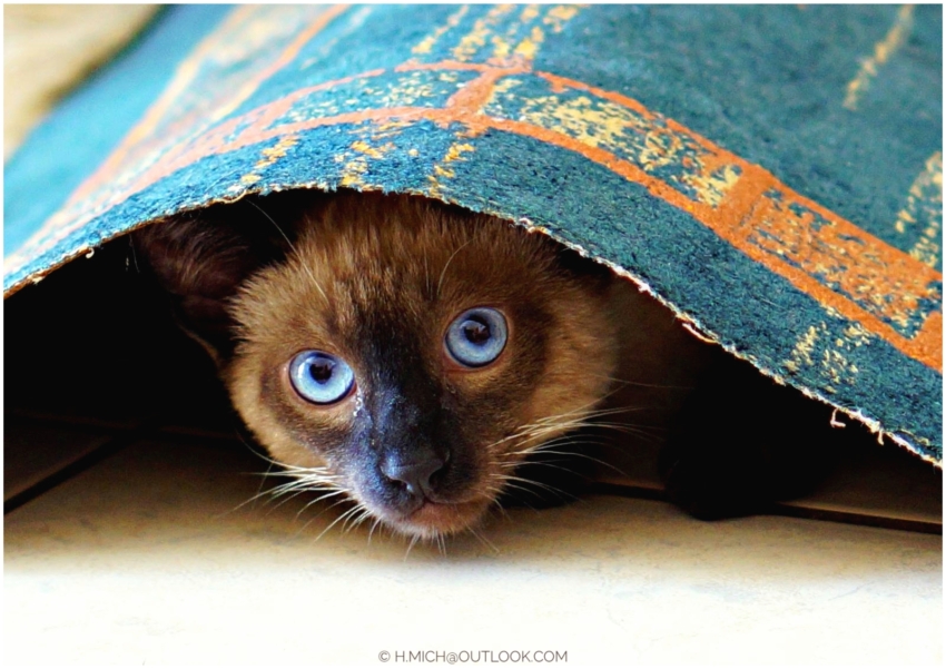 Studio-One.Art.br Repo Fotografia em Rio Preto SP/Brasil