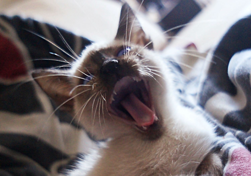 Studio-One.Art.br Repo Fotografia em Rio Preto SP/Brasil