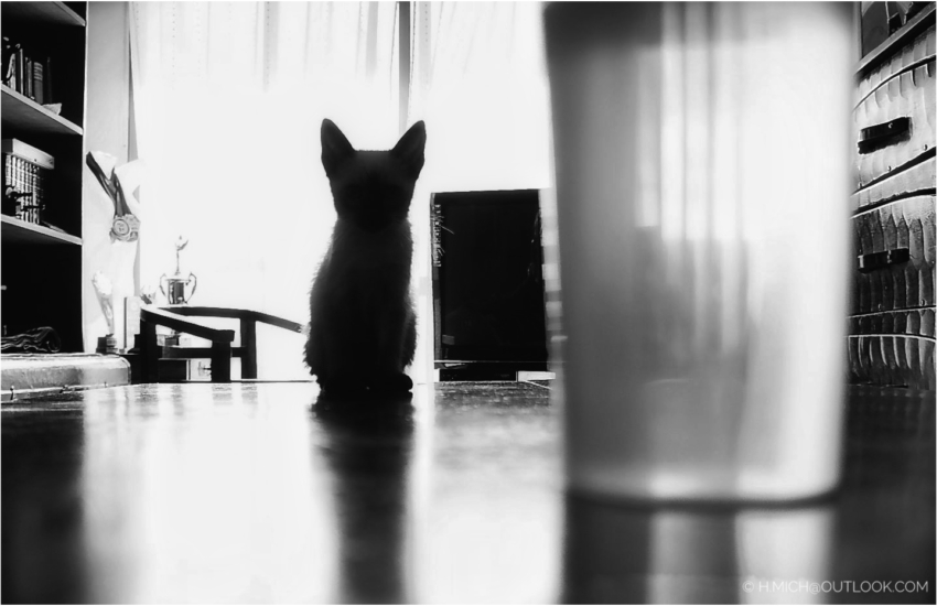 Studio-One.Art.br Repo Fotografia em Rio Preto SP/Brasil