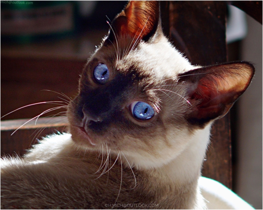 Studio-One.Art.br Repo Fotografia em Rio Preto SP/Brasil