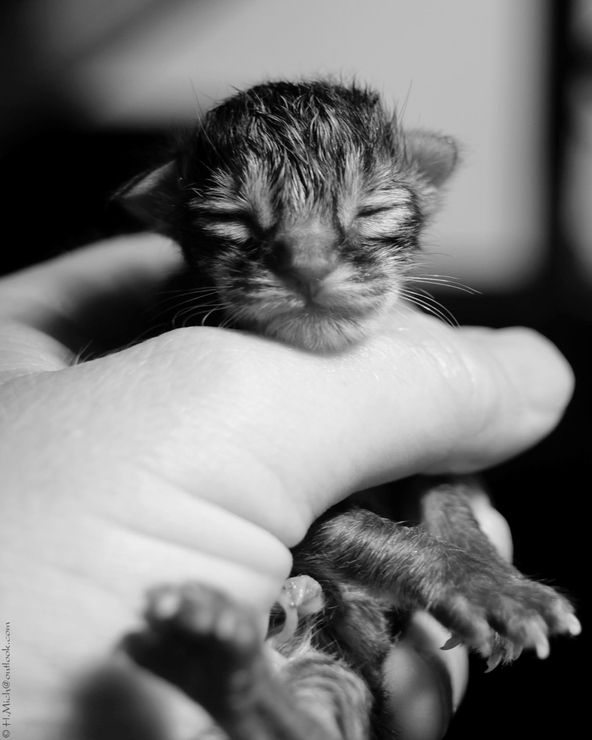 Studio-One.Art.br Repo Fotografia em Rio Preto SP/Brasil