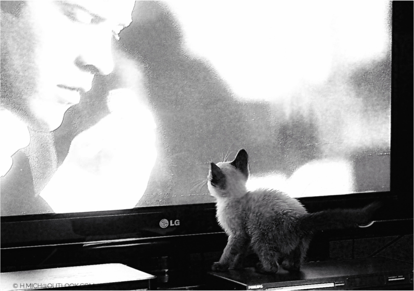 Studio-One.Art.br Repo Fotografia em Rio Preto SP/Brasil