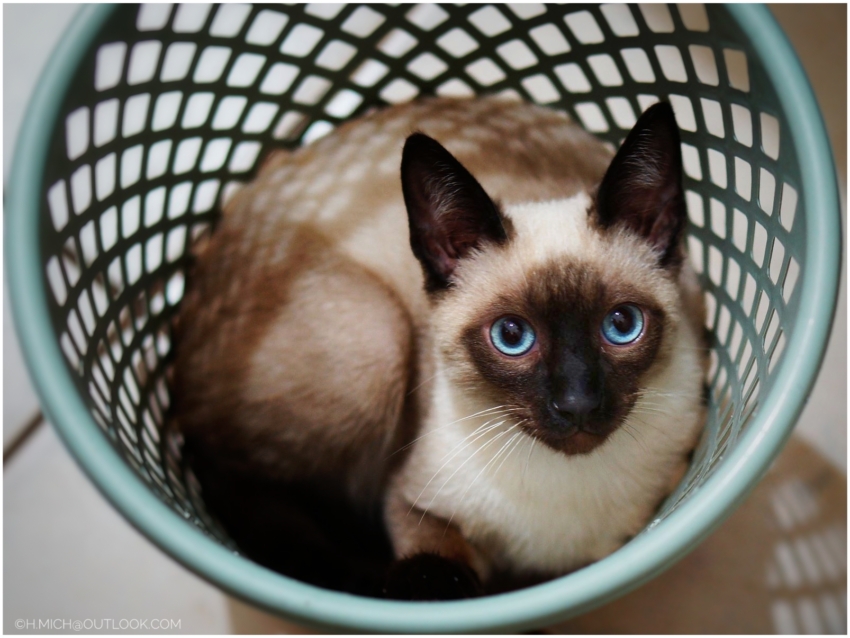 Studio-One.Art.br Repo Fotografia em Rio Preto SP/Brasil