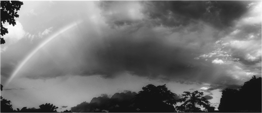 Studio-One.Art.br Repo Fotografia em Rio Preto SP/Brasil