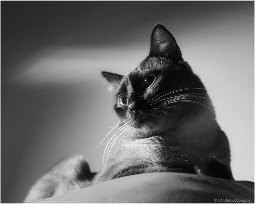 Studio-One.Art.br Repo Fotografia em Rio Preto SP/Brasil