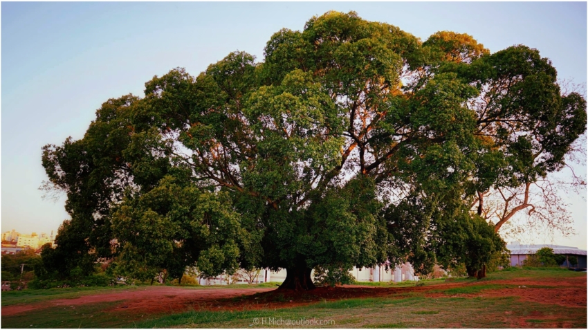 Studio-One.Art.br Repo Fotografia em Rio Preto SP/Brasil