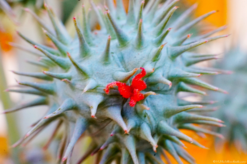 Studio-One.Art.br Repo Fotografia em Rio Preto SP/Brasil