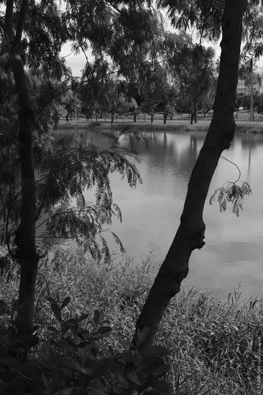 Studio-One.Art.br Repo Fotografia em Rio Preto SP/Brasil