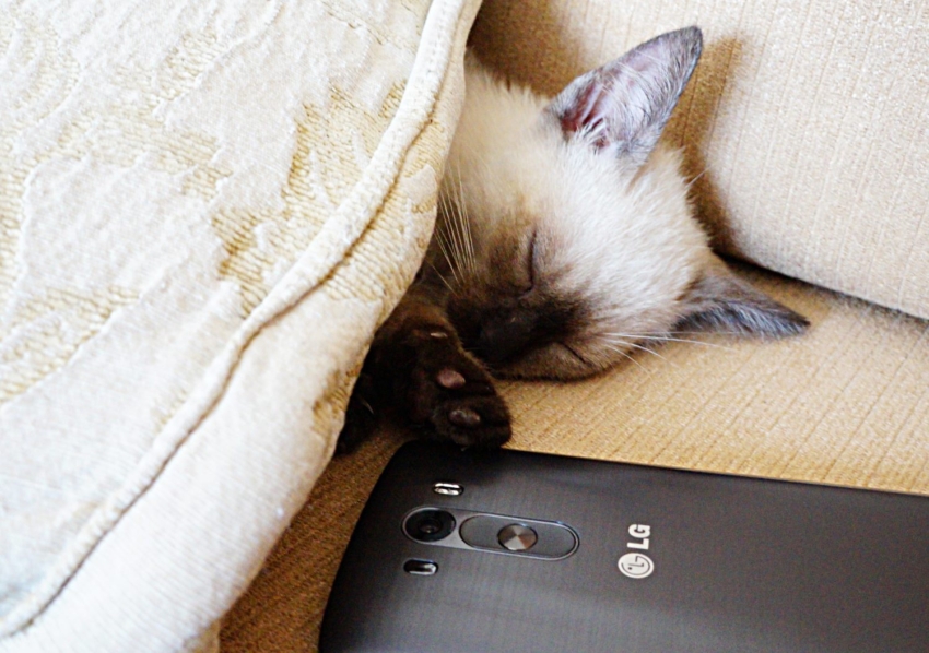 Studio-One.Art.br Repo Fotografia em Rio Preto SP/Brasil