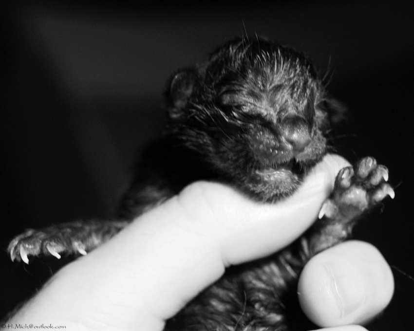 Studio-One.Art.br Repo Fotografia em Rio Preto SP/Brasil